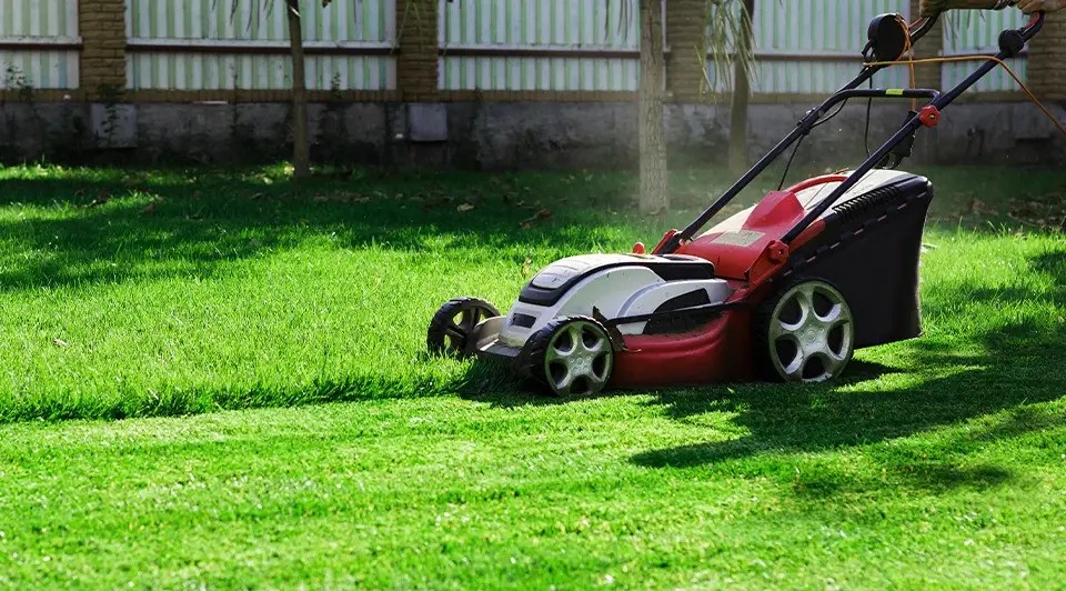 Mowing a Lawn